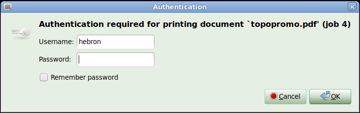 Job Authentication window